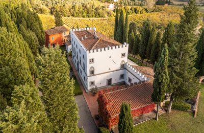 Château à vendre San Miniato, Toscane, Image 3/45