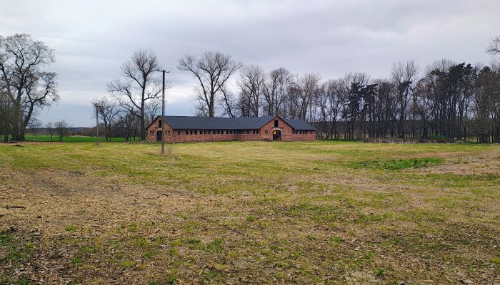  Raszków 5