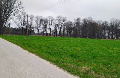 Manoir à vendre Raszków, Sainte-Croix, Image 14/16