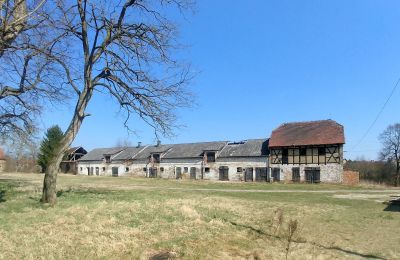 Manoir à vendre Lubusz, Image 5/16