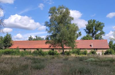 Manoir à vendre Lubusz, Image 6/16