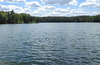 Manoir à vendre Lubusz, Image 13/16