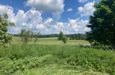 Maison de campagne à vendre Bądze, Varmie-Mazurie, Image 6/8