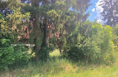 Maison de campagne à vendre Bądze, Varmie-Mazurie, Image 5/8