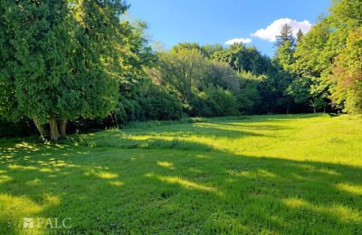 Manoir à vendre Tömörd, Fő utca 11, Comitat de Vas, Parc