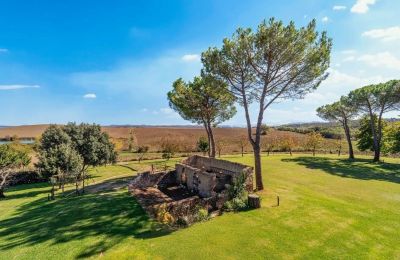 Maison de campagne à vendre Monteroni d'Arbia, Toscane, Image 14/39