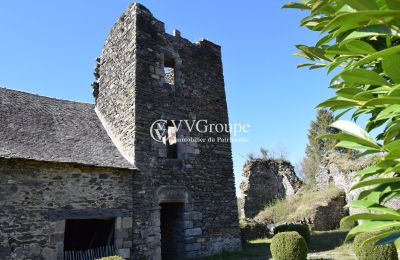 Château médiéval à vendre Nouvelle-Aquitaine, Image 5/13