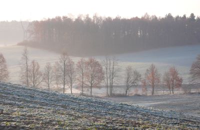 Maison de campagne à vendre Sławnikowice, Basse-Silésie, Image 50/51