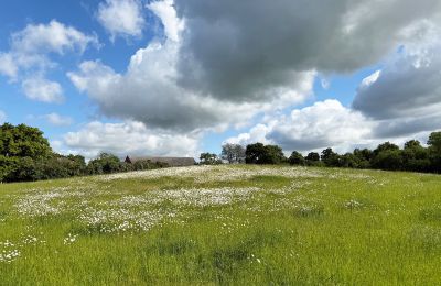 Manoir à vendre Brandebourg, Koppel