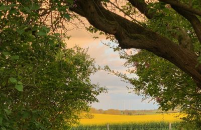 Manoir à vendre Brandebourg, Blick auf Koppel - Weitblick