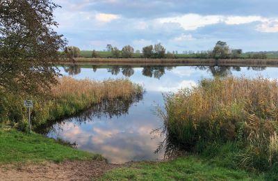 Manoir à vendre Brandebourg, Badesee in der Umgebung