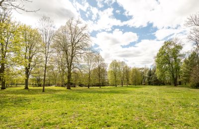 Manoir à vendre Strzegocin , Mazovie, Image 20/42