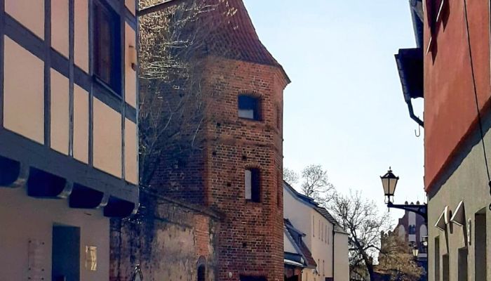  Toruń 3