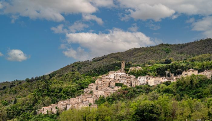  Castelnuovo di Val di Cecina 4