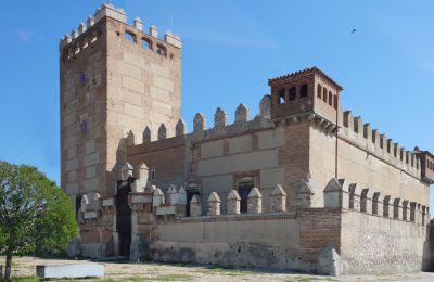 Château médiéval à vendre Narros de Saldueña, Teniente Cecilio López 48, Castille-et-León, Image 1/20