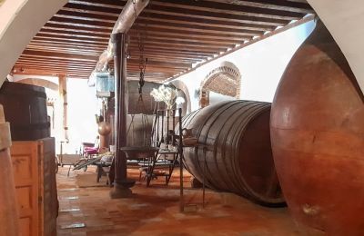 Château médiéval à vendre Narros de Saldueña, Teniente Cecilio López 48, Castille-et-León, Image 8/20