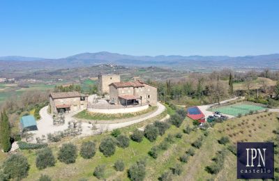 Tour historique à vendre 06010 Monte Santa Maria Tiberina, Ombrie, Image 6/65