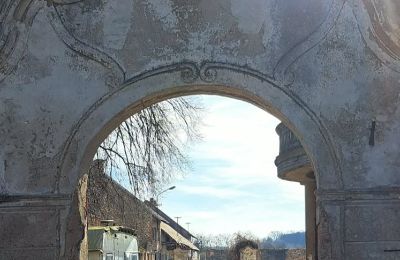Château à vendre Ronov nad Doubravou, Moravany  1, okres Chrudim, Image 2/17