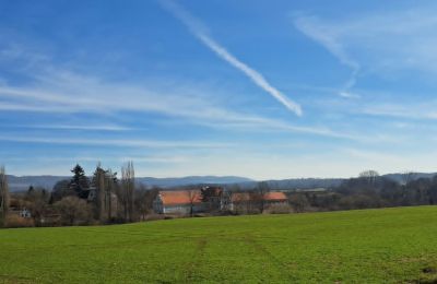 Château à vendre Ronov nad Doubravou, Moravany  1, okres Chrudim, Image 17/17