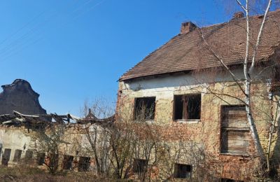 Château à vendre Ronov nad Doubravou, Moravany  1, okres Chrudim, Image 15/17