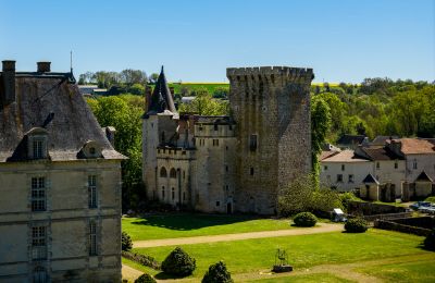 Château à vendre Nouvelle-Aquitaine, Image 5/17