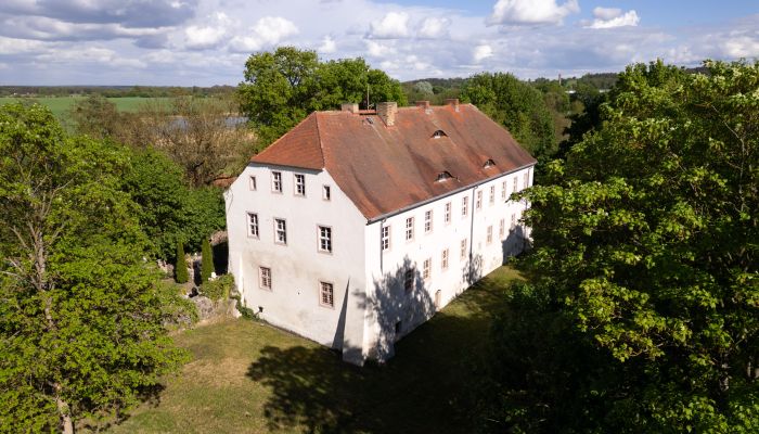 Château médiéval à vendre 16259 Bad Freienwalde (Oder), Brandebourg