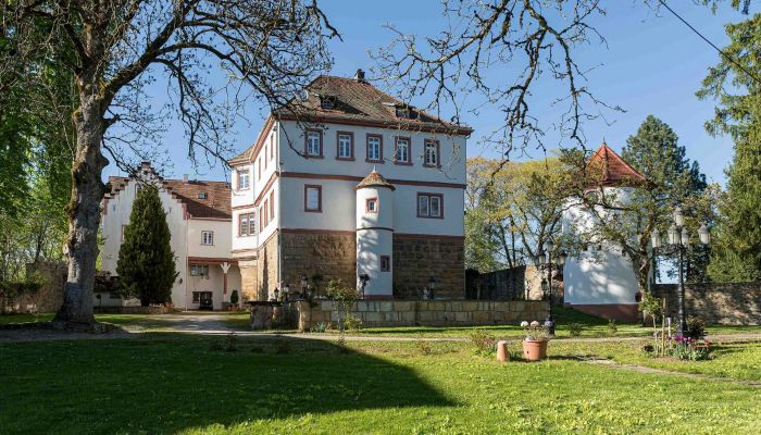 Château Bade-Wurtemberg