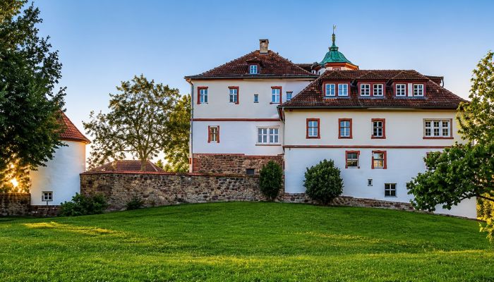 Château à vendre Bade-Wurtemberg