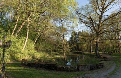 Château à vendre Bade-Wurtemberg, Teich