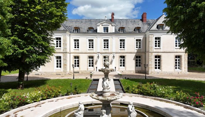 Château à vendre Provins, Île-de-France