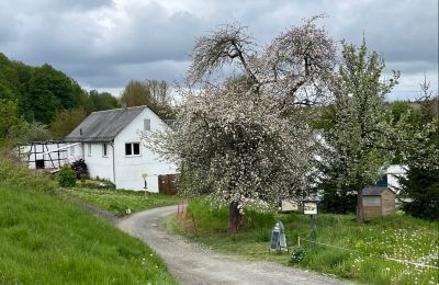 Propriété historique à vendre 07907 Schleiz, Thuringe, Accès
