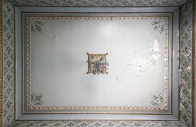 Demeure historique à vendre Craiova, Bd. Nicolae Titulescu 4, Dolj, Image 5/43