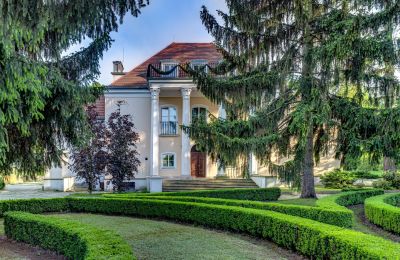 Château à vendre Smoszewo, Pałac w Smoszewie, Mazovie, Image 1/22
