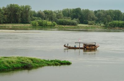 Château à vendre Smoszewo, Pałac w Smoszewie, Mazovie, Image 19/22