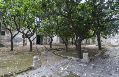 Demeure historique à vendre Mesagne, Pouilles, Image 23/36