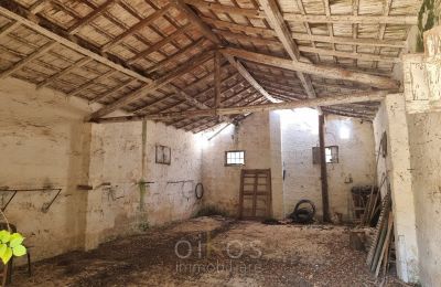 Demeure historique à vendre Mesagne, Pouilles, Image 29/36