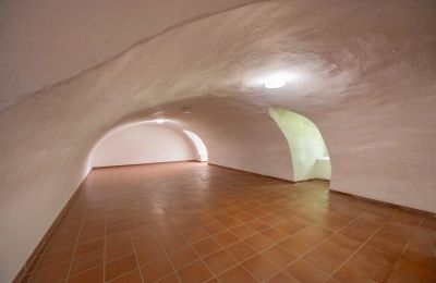 Château à vendre 32683 Barntrup, Rhénanie-du-Nord-Westphalie, Kellerraum - Ostflügel
