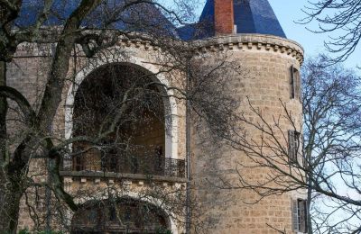 Château médiéval à vendre Valence, Auvergne-Rhône-Alpes, Image 7/28