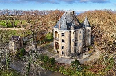 Château médiéval à vendre Valence, Auvergne-Rhône-Alpes, Image 1/28