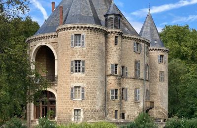 Château médiéval à vendre Valence, Auvergne-Rhône-Alpes, Image 5/28