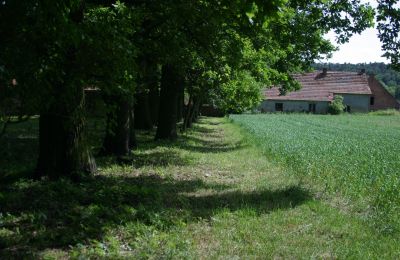 Manoir à vendre Rogów Wołowski, Basse-Silésie, Image 20/25