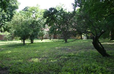 Manoir à vendre Rogów Wołowski, Basse-Silésie, Image 19/25