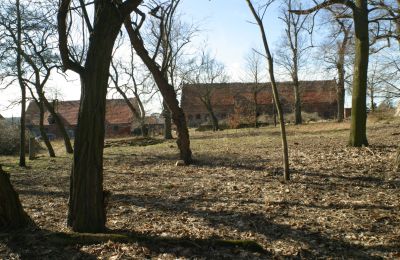 Manoir à vendre Rogów Wołowski, Basse-Silésie, Image 10/25