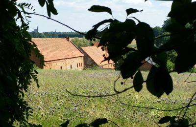 Manoir à vendre Rogów Wołowski, Basse-Silésie, Image 6/25