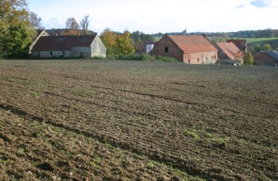 Manoir à vendre Rogów Wołowski, Basse-Silésie, Image 9/25