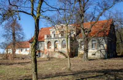Manoir à vendre Rogów Wołowski, Basse-Silésie, Image 1/25