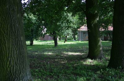 Manoir à vendre Rogów Wołowski, Basse-Silésie, Image 21/25