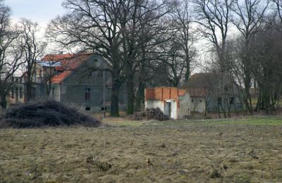 Manoir à vendre Rogów Wołowski, Basse-Silésie, Image 7/25