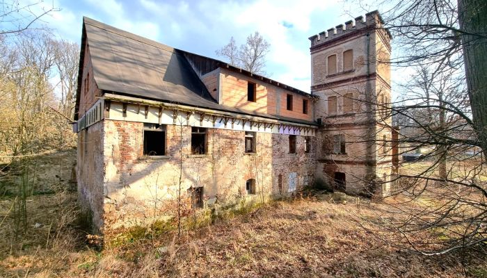 Demeure historique à vendre Staniszów, Basse-Silésie