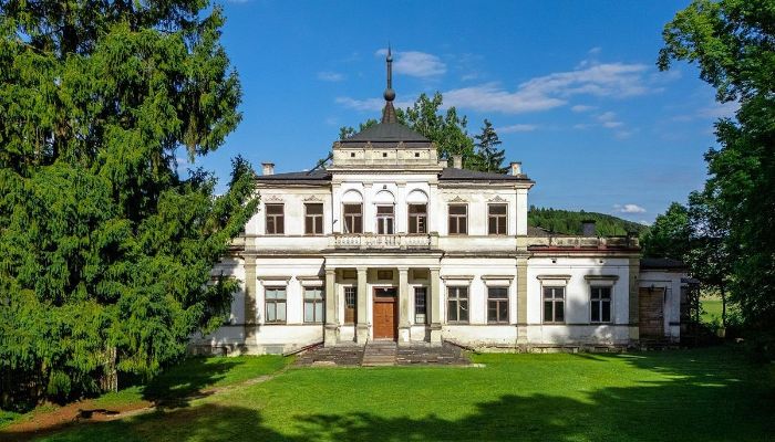 Château à vendre Sancygniów, Sainte-Croix